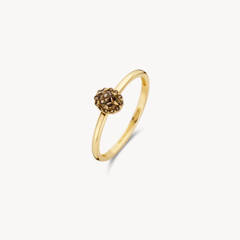 Blush Ring 1226YSQ/56 - Juwelier van Dam