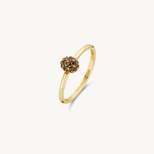 Blush Ring 1226YSQ/56 - Juwelier van Dam