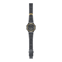 Casio Vintage 50th Anniversary TRN - 50ZE - 1AER