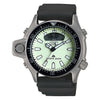 Citizen Aqualand Duiker JP2007 - 17W