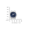 Citizen Dames Radio Controlled EC1180 - 81L
