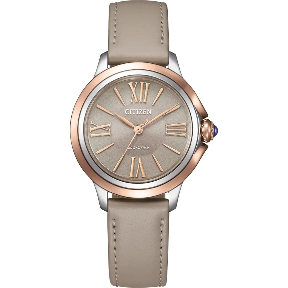 Citizen EM1166-01Z