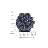 Citizen Promaster Sky CB5006 - 02L