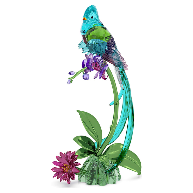 Swarovski Idyllia Quetzal en Orchidee 5682123 