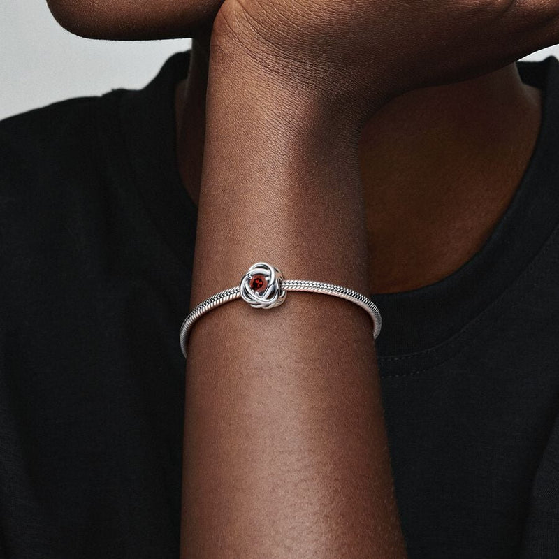 Pandora Bedel Geboortesteen Januari 790065C06