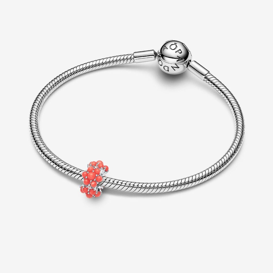 Juwelier van Dam