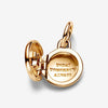 Pandora Bedel Liefdesmedaillon 763066c01