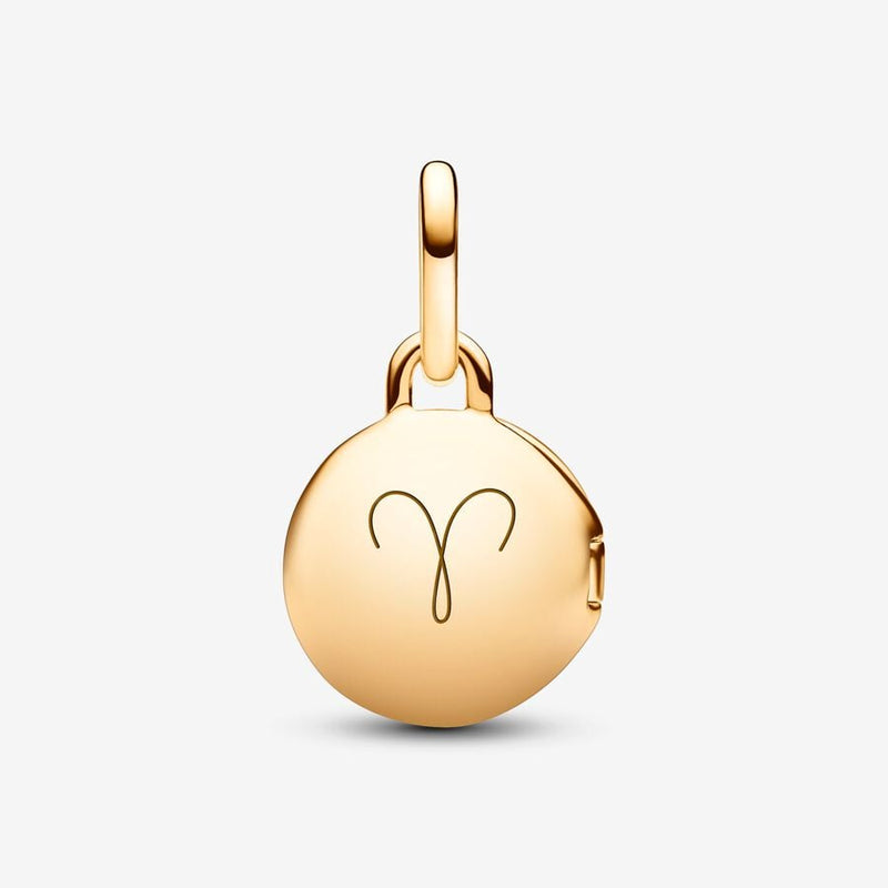 Pandora Bedel Liefdesmedaillon 763066c01