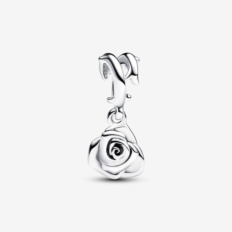 Pandora Bedel Roos in Bloei 793213C00