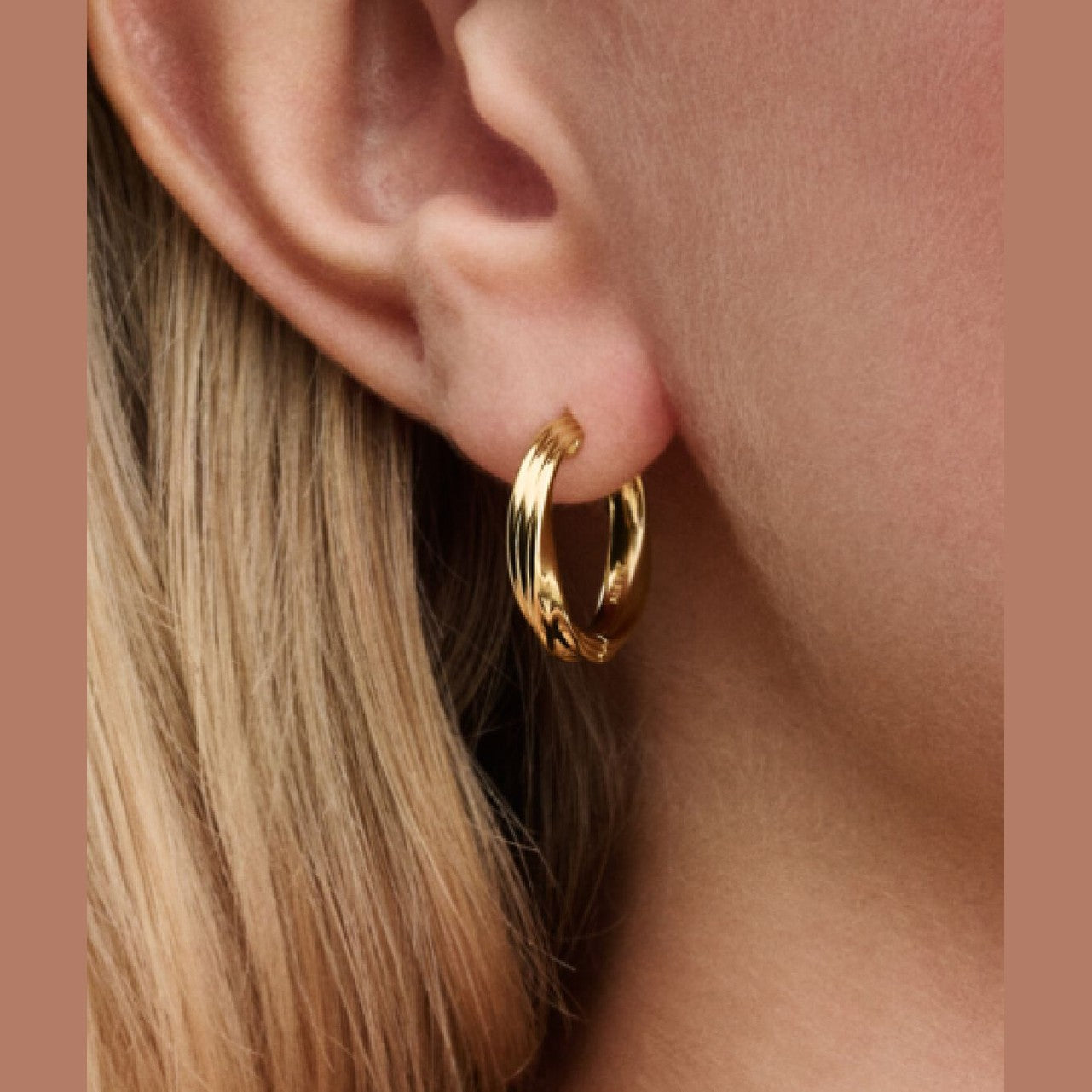 Pandora Twisted Hoop Earrings 263878C00 – Juwelier van Dam