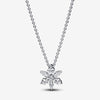 Pandora Herbarium Cluster Ketting 392387C01 - 45
