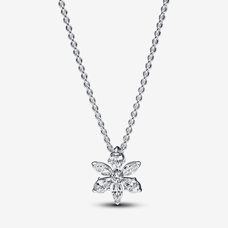 Pandora Herbarium Cluster Ketting 392387C01 - 45