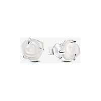 Pandora Oorknoppen 293209C01