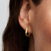 Pandora Oorringen 263875C00 - Juwelier van Dam