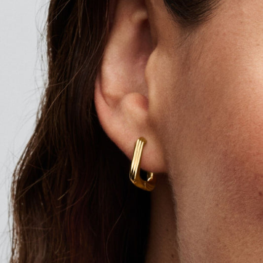 Pandora Oorringen 263875C00 - Juwelier van Dam
