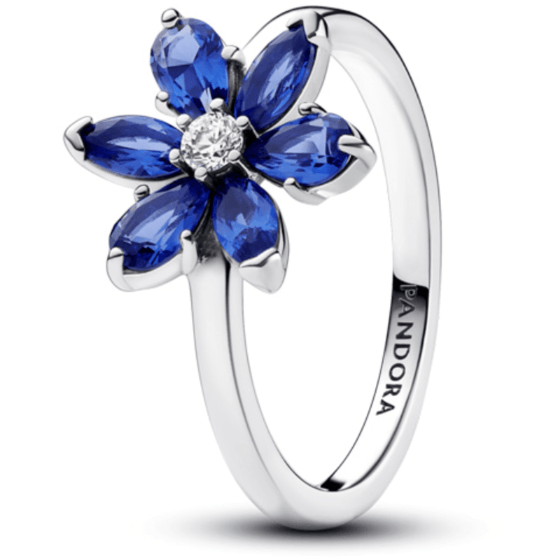 Pandora Ring 193000C01 - 52