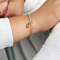 Pandora x Disney Bedel Winnie the Pooh Tijger 92213C01