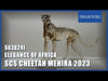 Swarovski Cheetah Mehira 2023 5636241