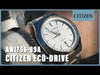 Citizen Eco-Drive AW1756-89A 