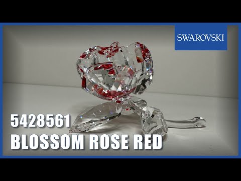 Swarovski In the Secret Garden Rose 5428561