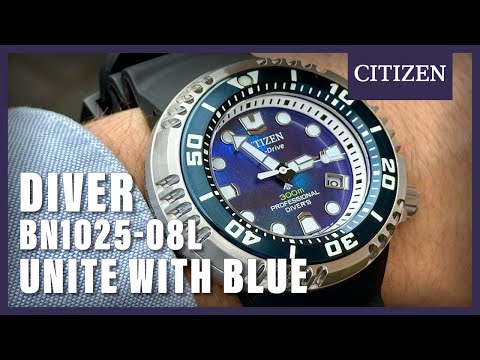 Citizen Promaster 'Sea of ​​Silence' BN1025-08L