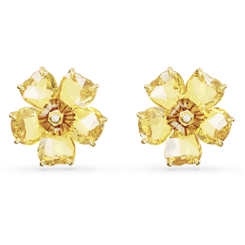 Swarovski Idyllia Oorsieraden 5650571