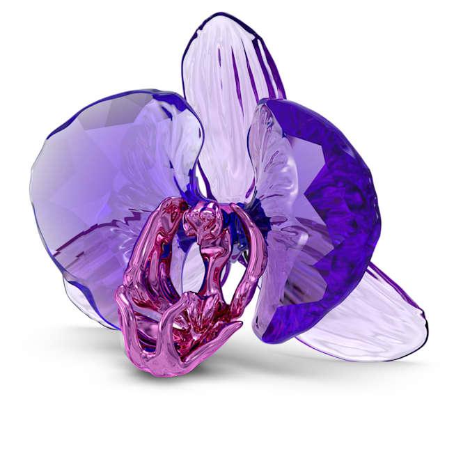 Swarovski Orchideeblaadje 5669354