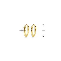 vDam 14k Geelgouden Oorringen 4001308