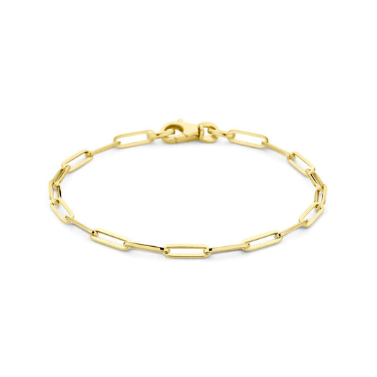 vDam 14k Geelgouden Paperclip Armband 4022512