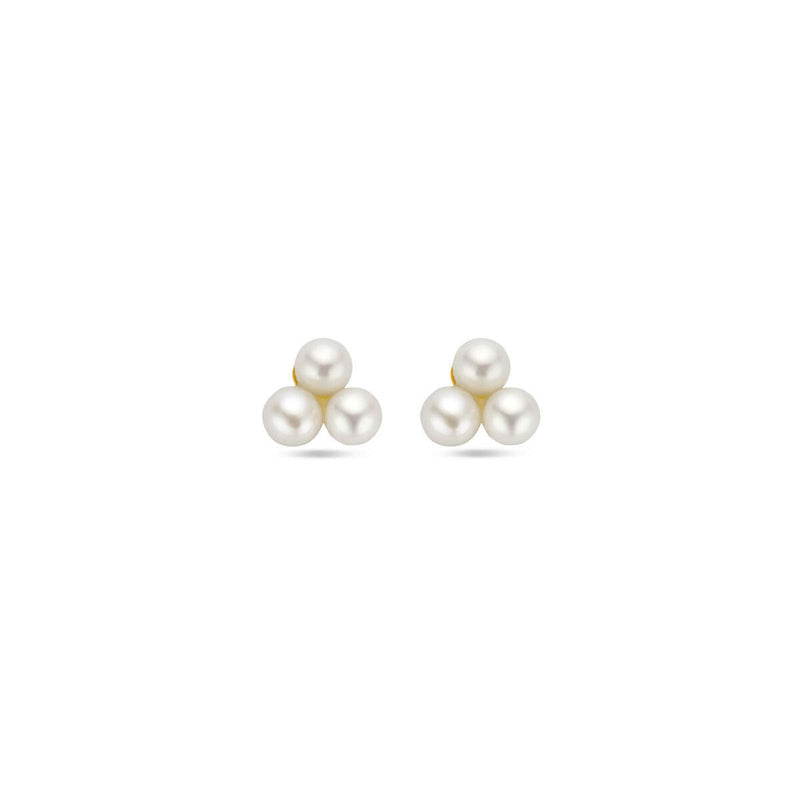 vDam 14k Geelgouden Parel Oorknoppen 4032103
