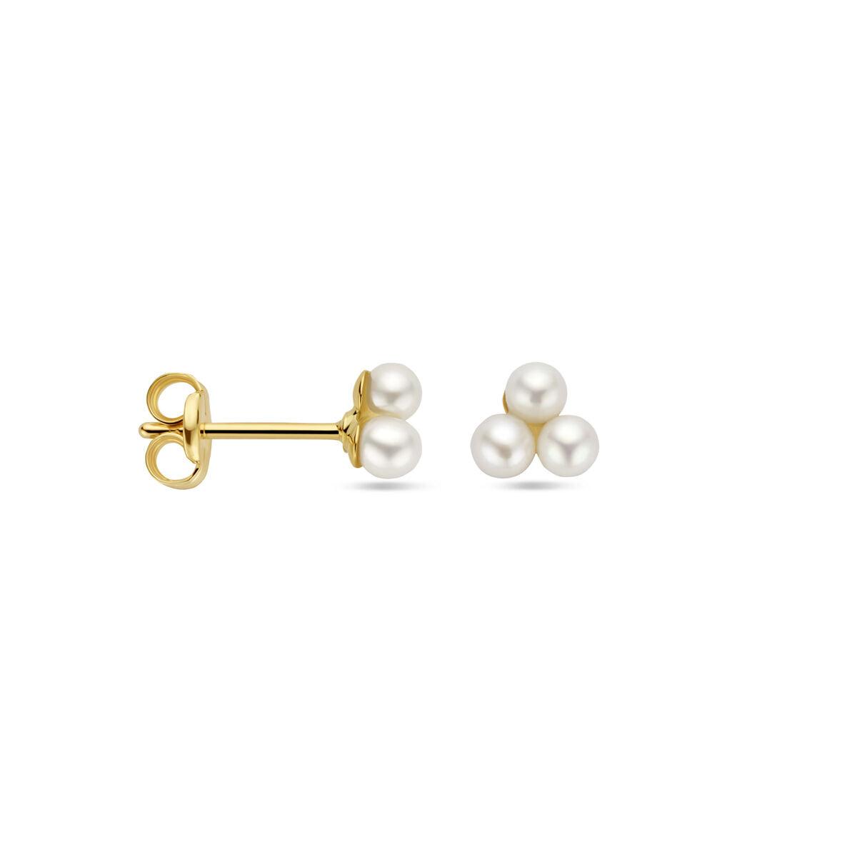 vDam 14k Geelgouden Parel Oorknoppen 4032103