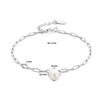 vDam Armband Paperclip En Parel 16cm + 3 Cm Zilver Gerhodineerd 1336009  16cm