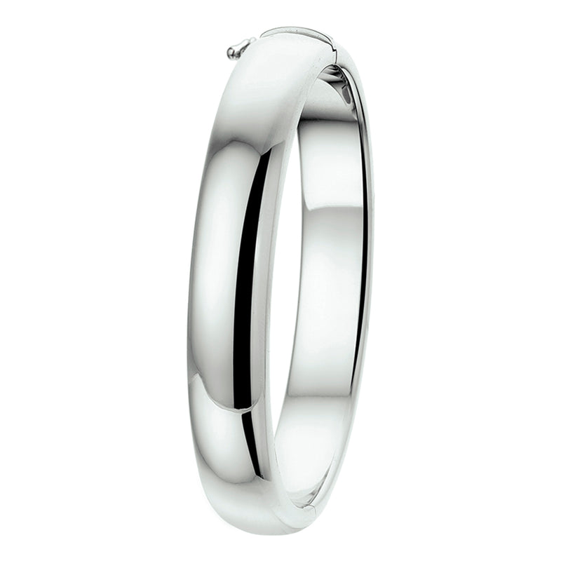 vDam Bangle Scharnier 10 Mm Bolle Buis Zilver Gerhodineerd 1326302