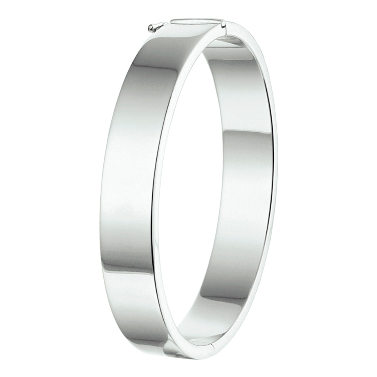 vDam Bangle Scharnier 10 Mm Vlakke Buis Zilver Gerhodineerd 1326306
