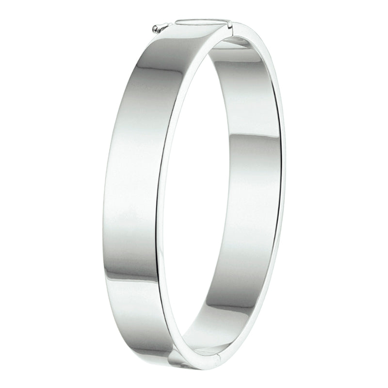 vDam Bangle Scharnier 10 Mm Vlakke Buis Zilver Gerhodineerd 1326306