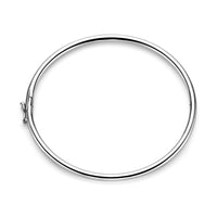 vDam Bangle Scharnier Ronde Buis 3 X 60 Mm Zilver Gerhodineerd 1328174