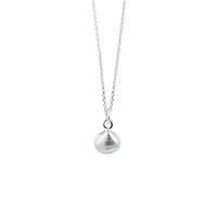vDam Ketting Schelp 41 + 4 Cm Zilver Wit 1021713