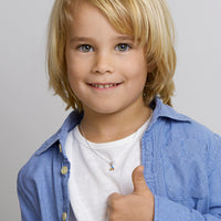 vDam Hanger Tractor Zilver Gerhodineerd 1332030