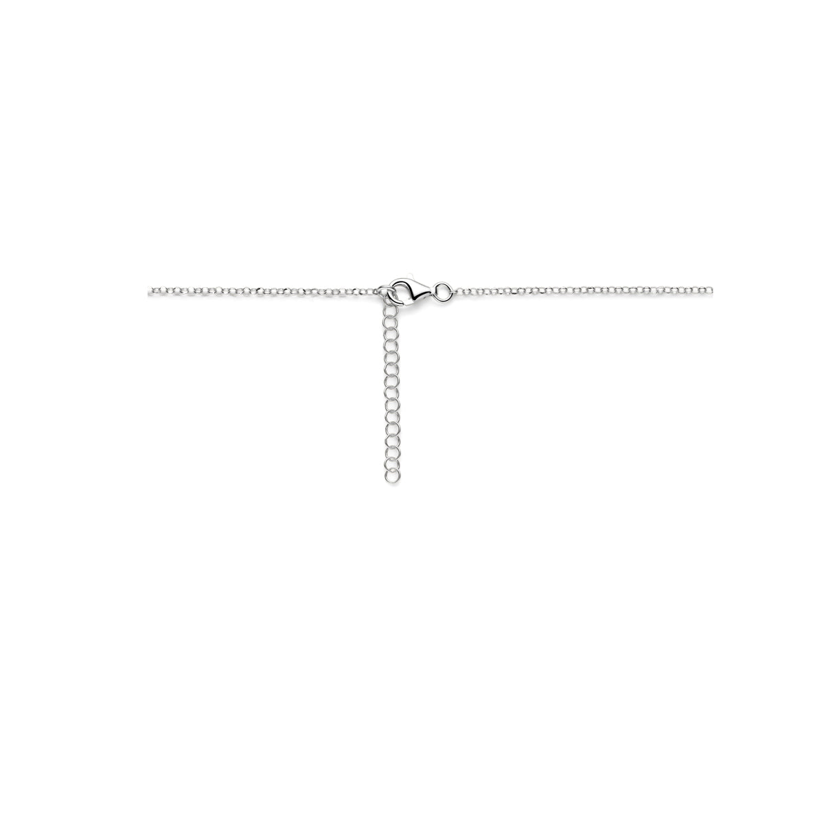 vDam Ketting Gedraaid 41cm + 4 Cm Zilver Gerhodineerd 1341cm734  41cm