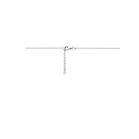 vDam Ketting Hondenpoot 36cm + 3 Cm Zilver Gerhodineerd 1338420  36cm