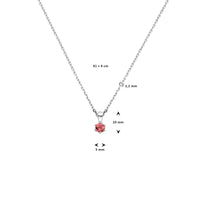 vDam Ketting Met Geboortesteen 41cm + 4 Cm Zilver Gerhodineerd 1337517  41cm