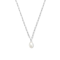 vDam Ketting Paperclip En Parel 41 + 4 Cm Zilver Gerhodineerd 1336010