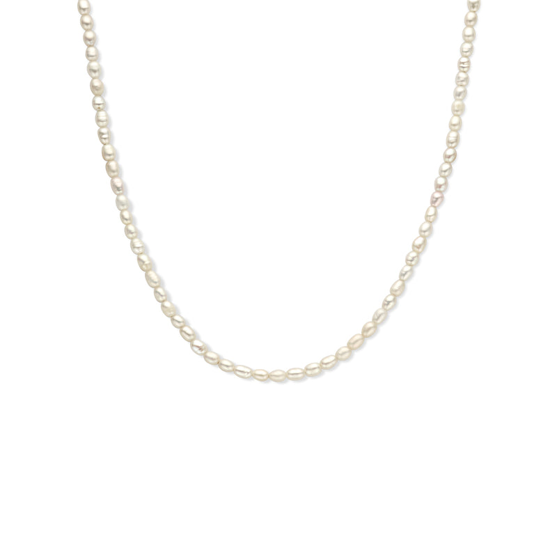 vDam Ketting Parel 3,8 Mm 40 + 5 Cm Zilver Gerhodineerd 1338218