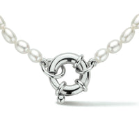 vDam Ketting Parel 3,8 Mm 41 Cm Met Groot Springslot Zilver Gerhodineerd 1334621