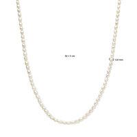 vDam Ketting Parel 3,8 Mm 50cm + 5 Cm Zilver Gerhodineerd 1338219  50cm