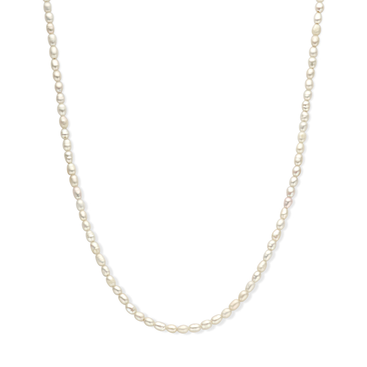 vDam Ketting Parel 3,8 Mm 50 + 5 Cm Zilver Gerhodineerd 1338219