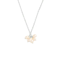 vDam Ketting Parel 41 + 4 Cm Zilver Gerhodineerd 1333528