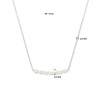 vDam Ketting Parel 42cm + 3 Cm Zilver Gerhodineerd 1334316  42cm