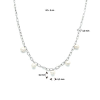 vDam Ketting Parel 42cm + 3 Cm Zilver Gerhodineerd 1334320  42cm