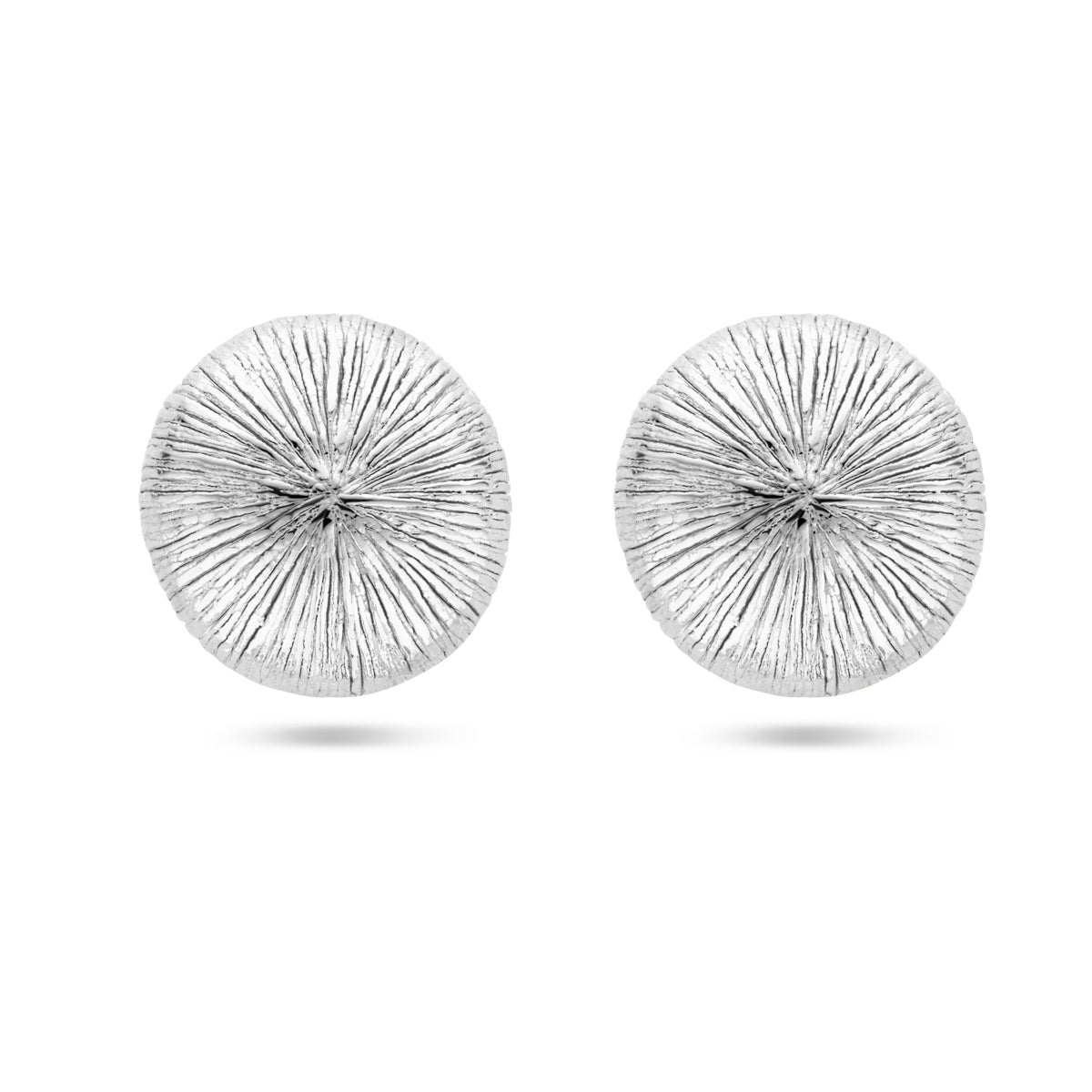 vDam Oorknoppen  25 Mm Zilver Gerhodineerd 1339680